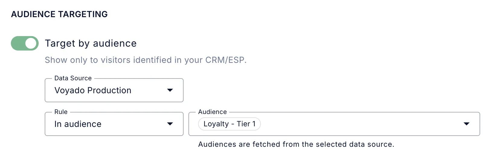 Fluentos Voyado Targeting Audience